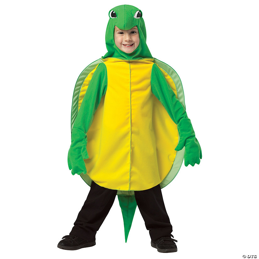Kids Turtle Costume Image