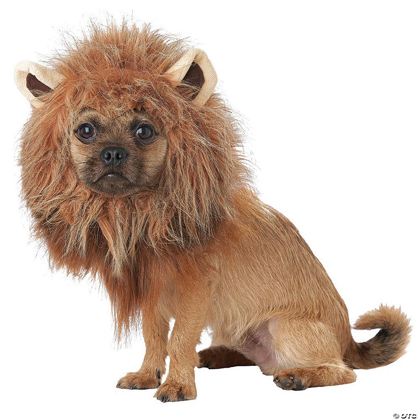 King of the Jungle Dog Costume - Large Image