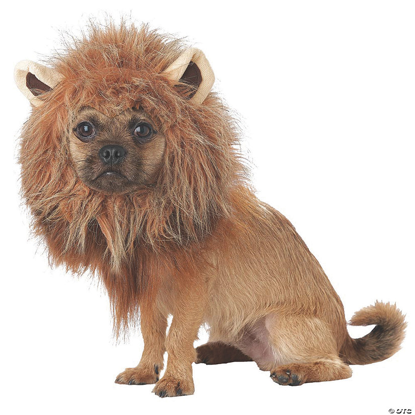 King of the Jungle Dog Costume Image