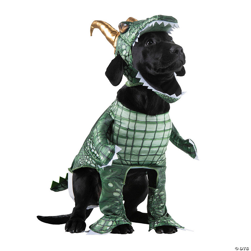 Loki Pet Classic Costume - X Large Image