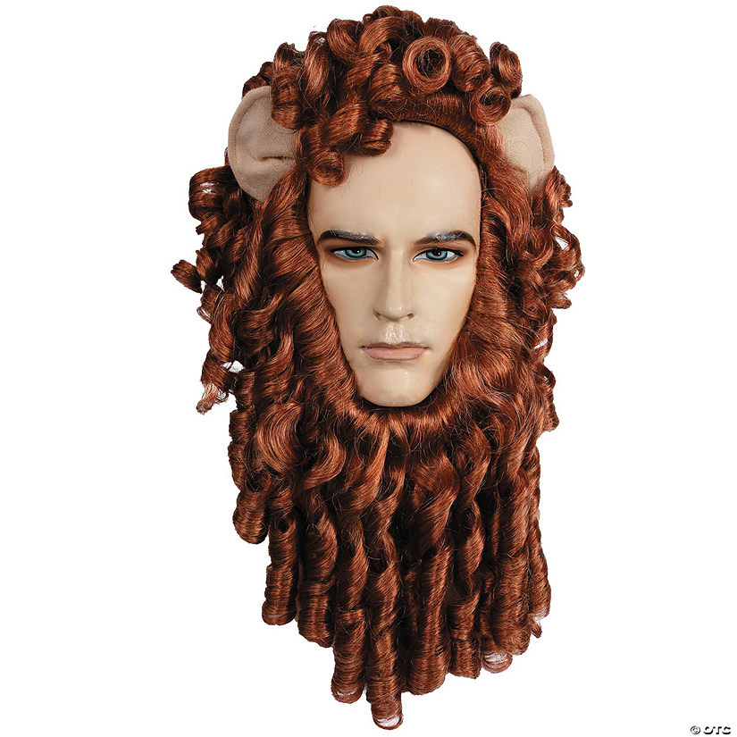 Men's Curly Lion Wig Set Image