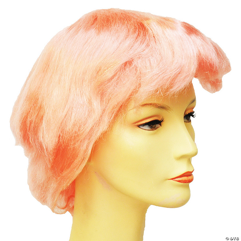 Men's Fright Wig Image