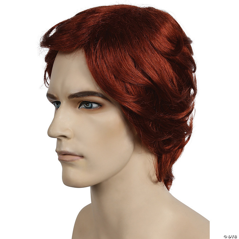 Men's Long Shag Wig Image
