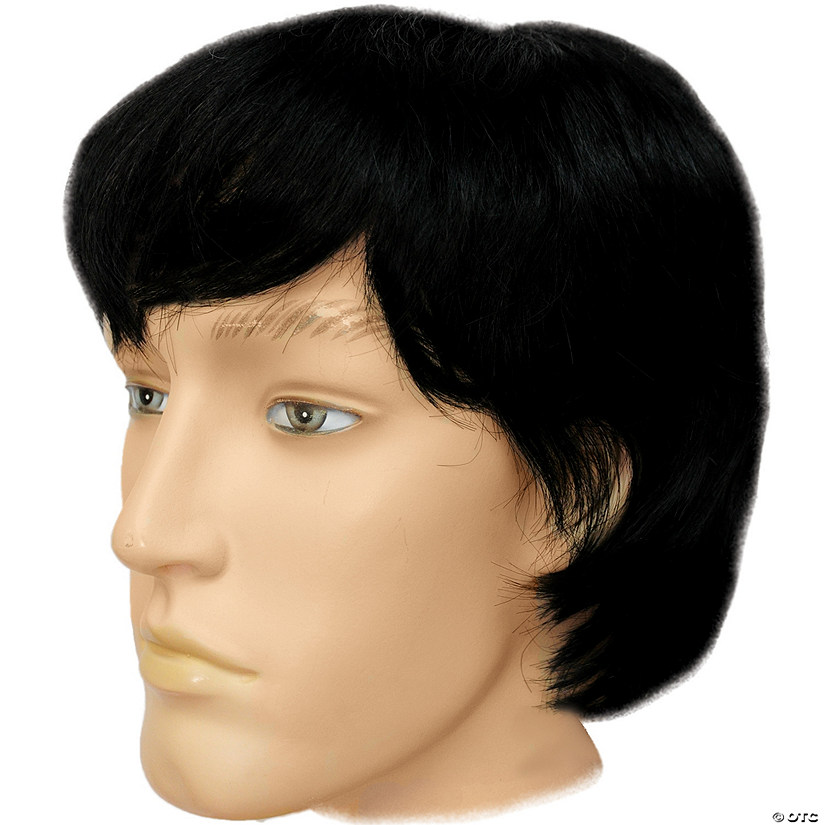 Men's Mushroom Mushroom Mop Top Wig Image