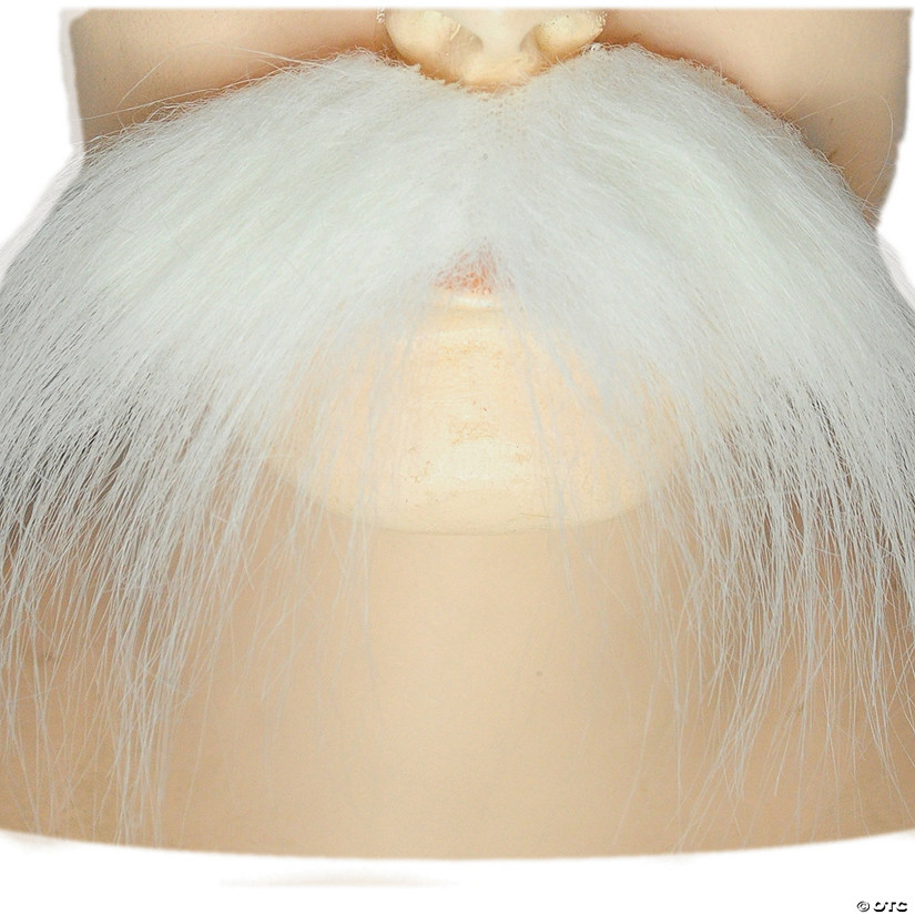 Men's Mustache Image