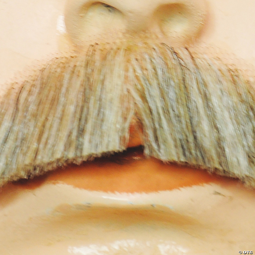 Men's Synthetic Edwardian Mustache Image