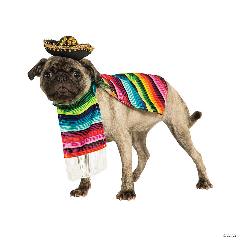 Mexican Serape Dog Costume Image