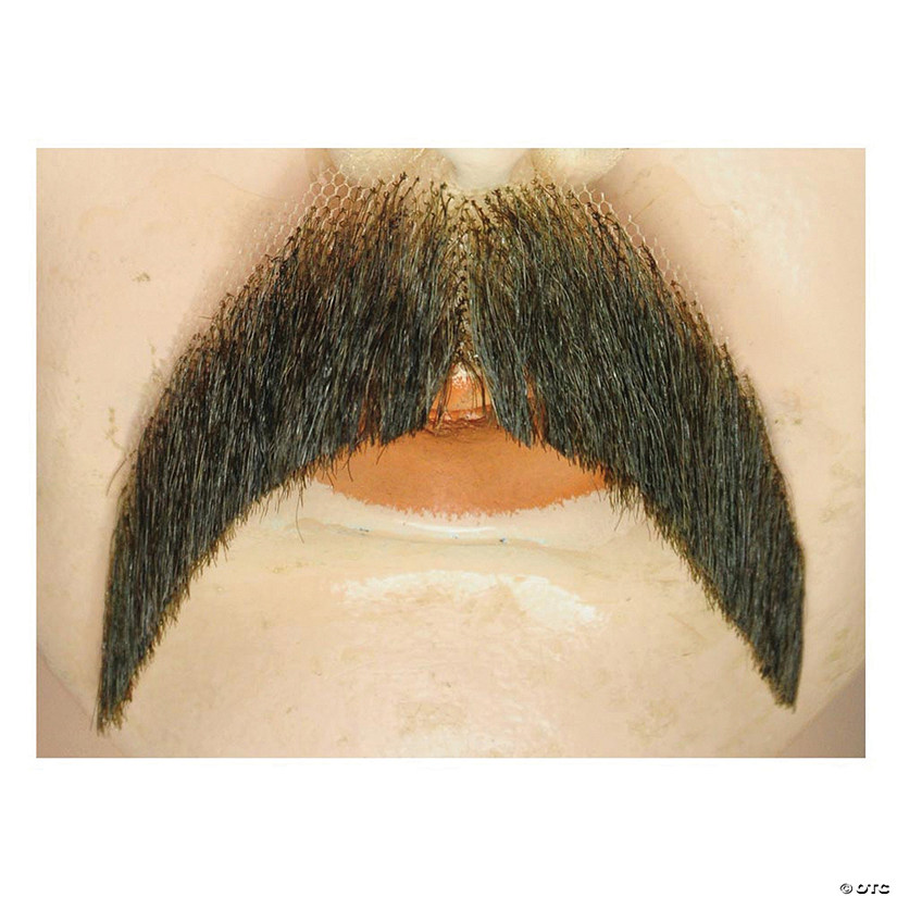 Mustache Walrus - Blend Image
