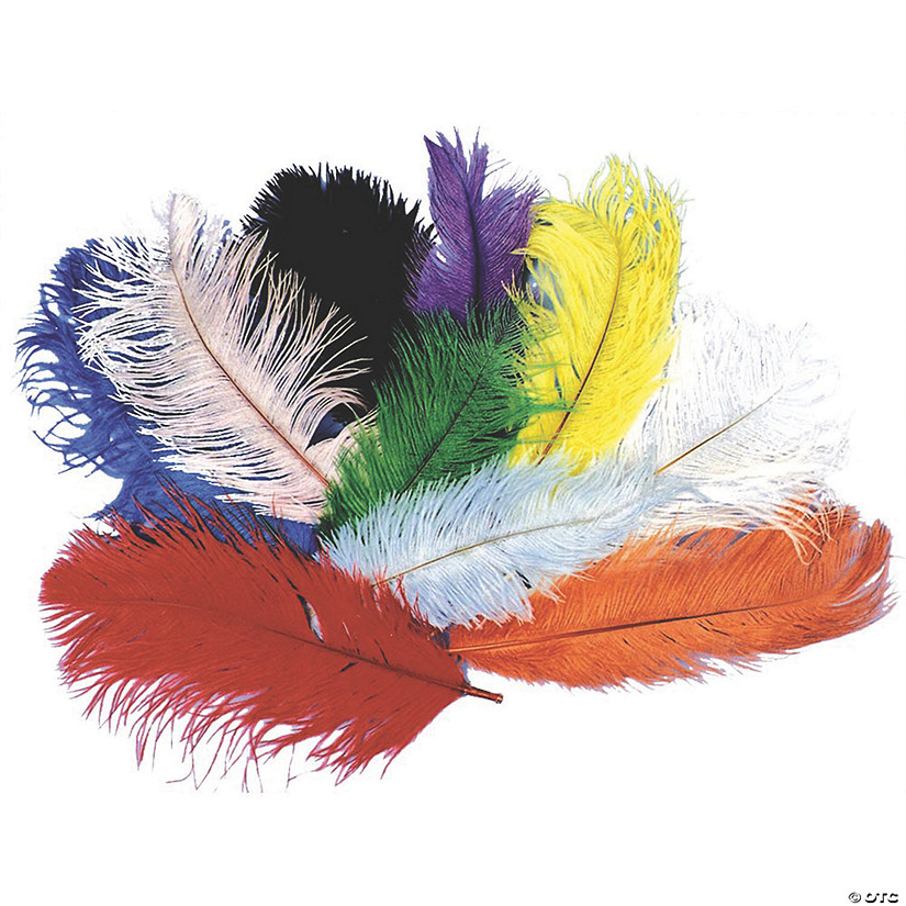 Ostrich Plume Image