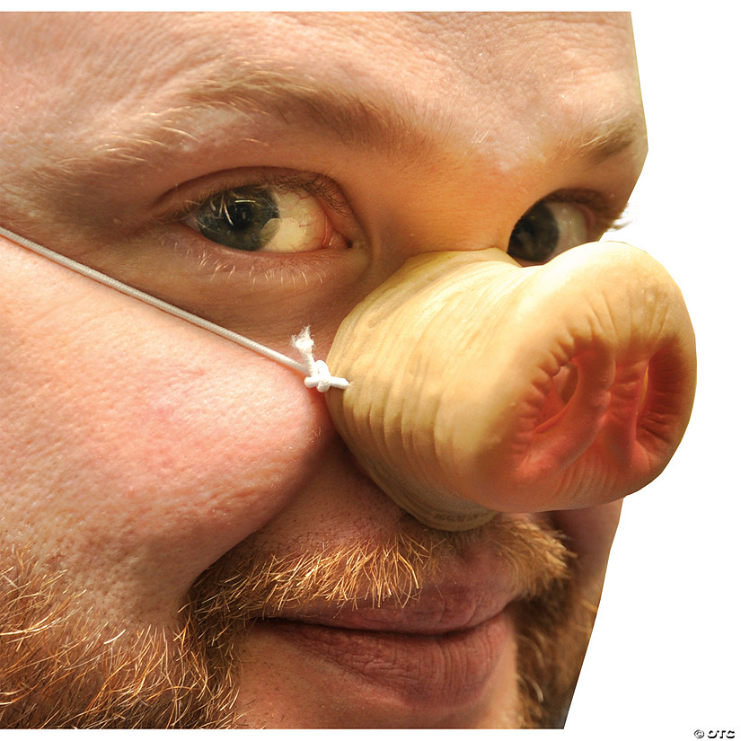 Pig Nose Image