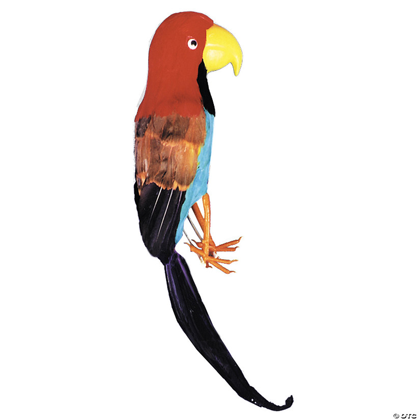 Pirate Parrot Image