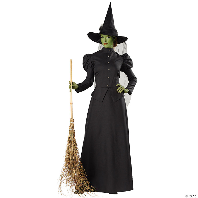 Plus Size Classic Deluxe Witch Costume Image
