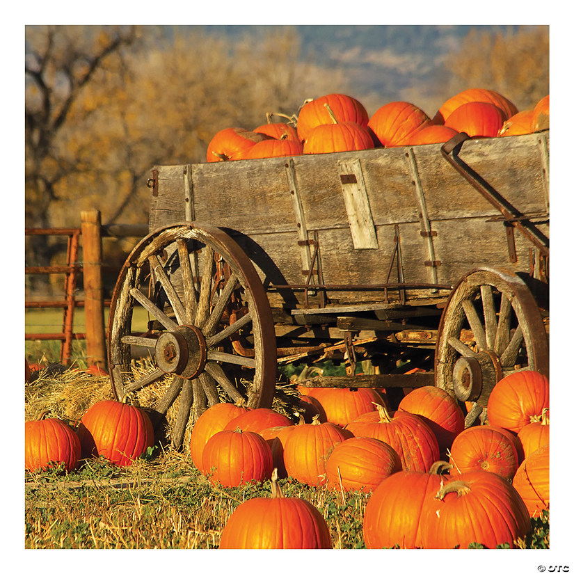 Pumpkin Patch Backdrop Image