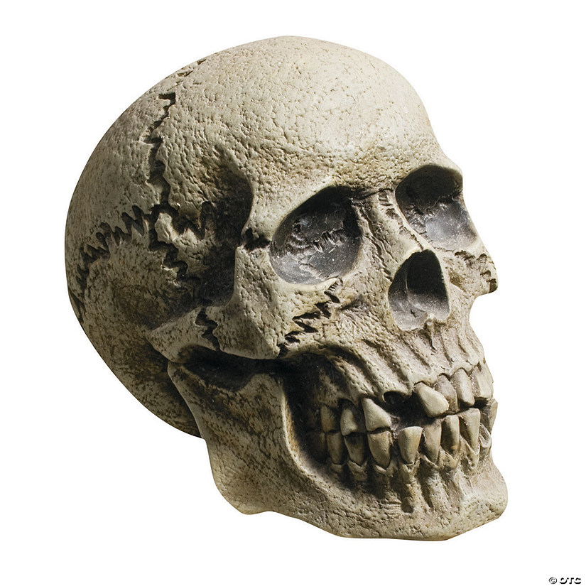 Realistic Rotting Skull Decoration Image