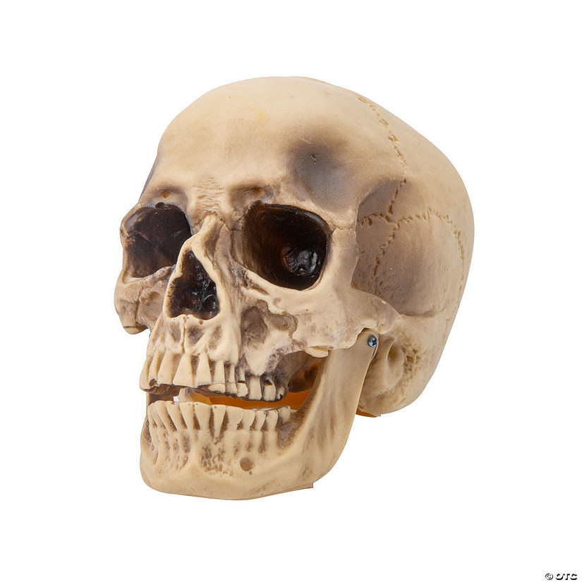 Realistic Rotting Skull Halloween Decoration Image