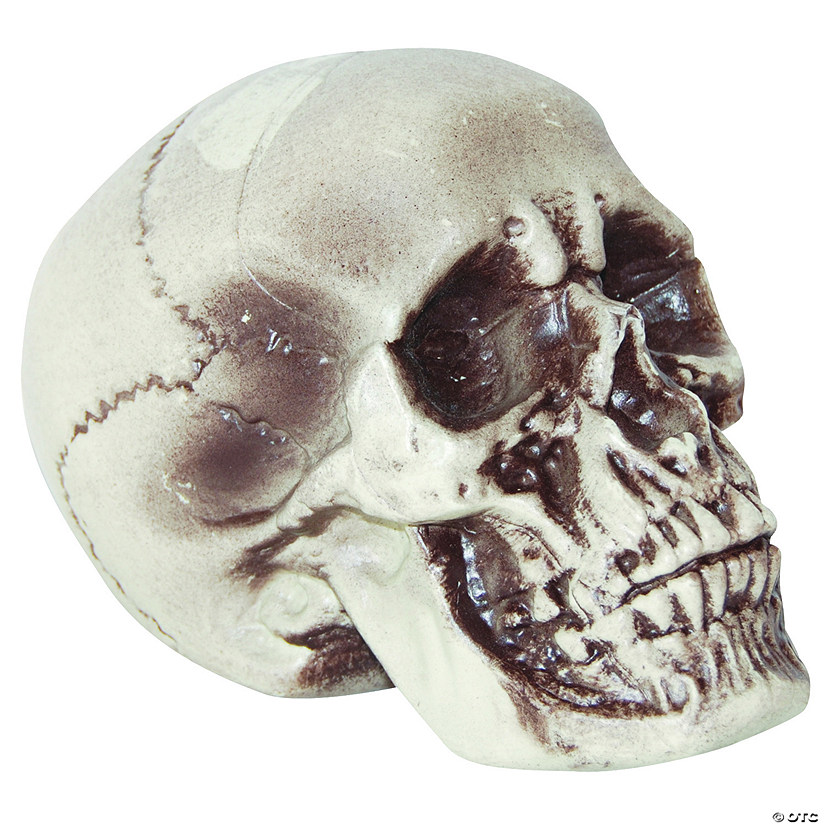 Realistic Skull Decoration Image