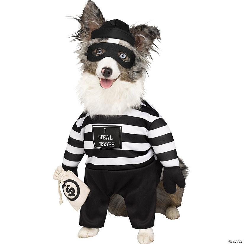 Robber Pup Pet Dog Costume Large Image
