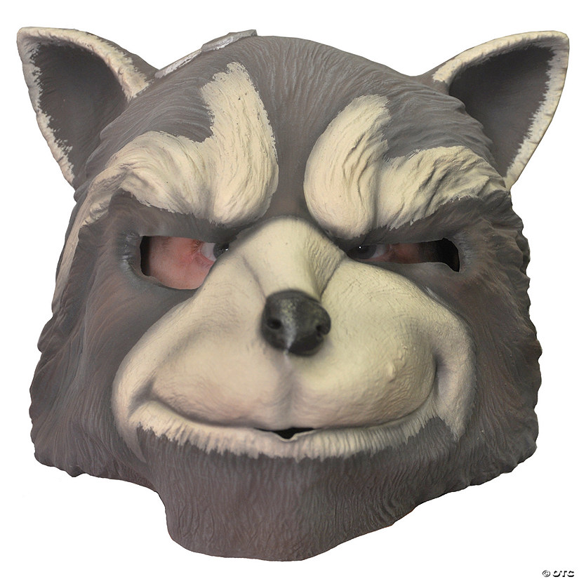 Rocket Raccoon Mask Image