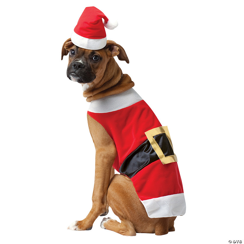 Santa Dog Costume Image