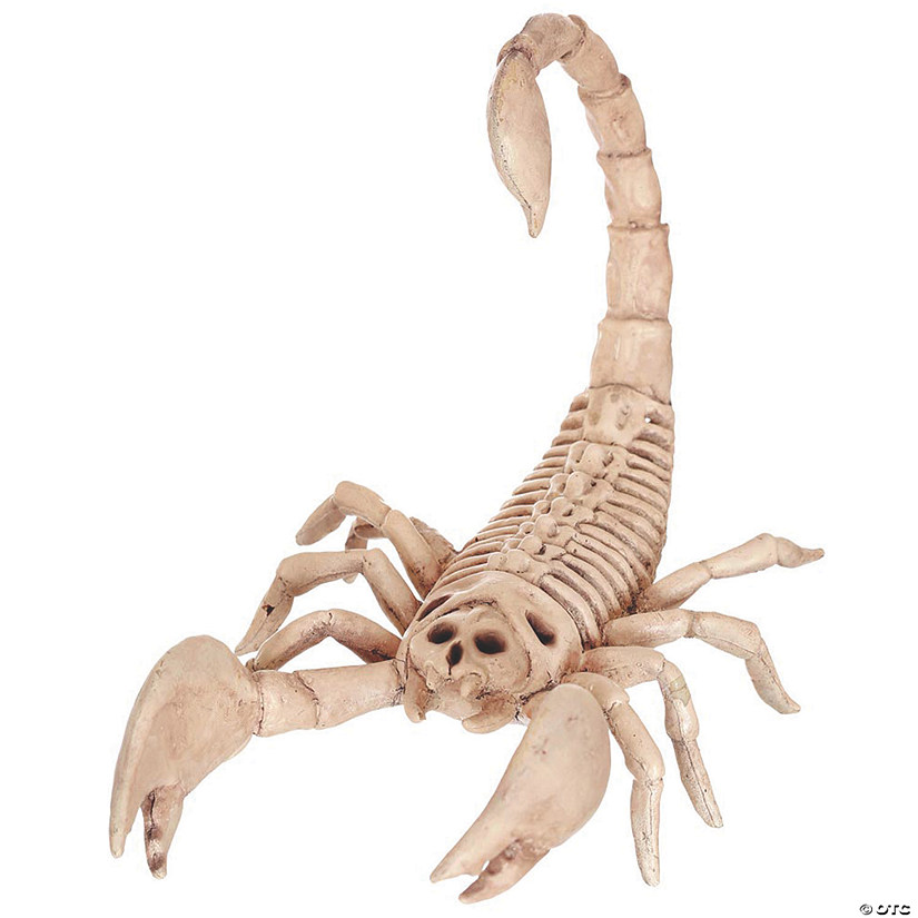 Scorpion Skeleton Halloween Decoration Image