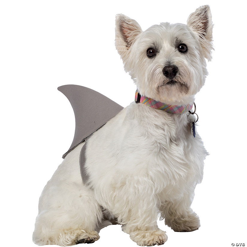 Shark Fin Dog Costume Halloween Express