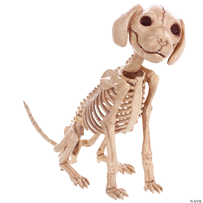 Skelebones Sitting Puppy Image