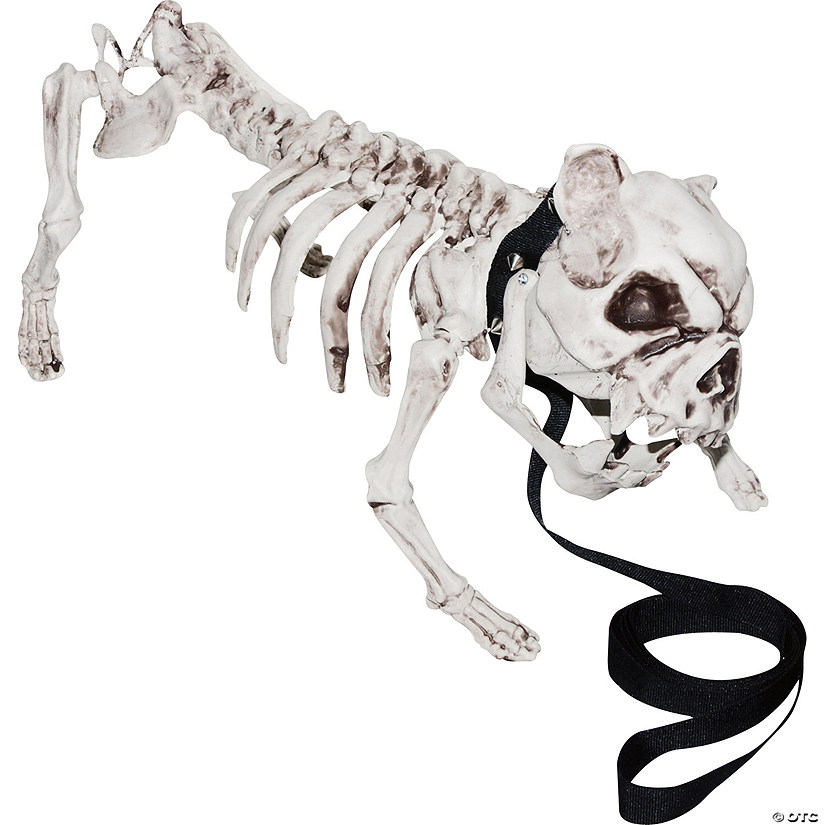 Skeleton Dog Image
