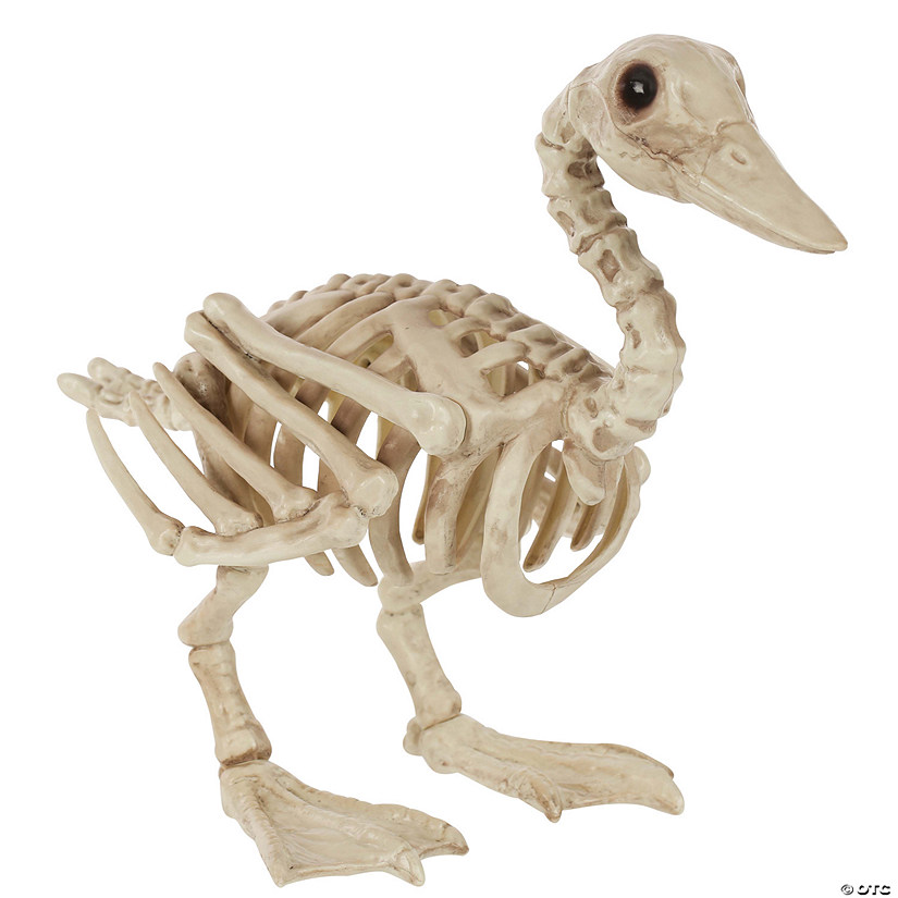 Skeleton Duck Decoration Image