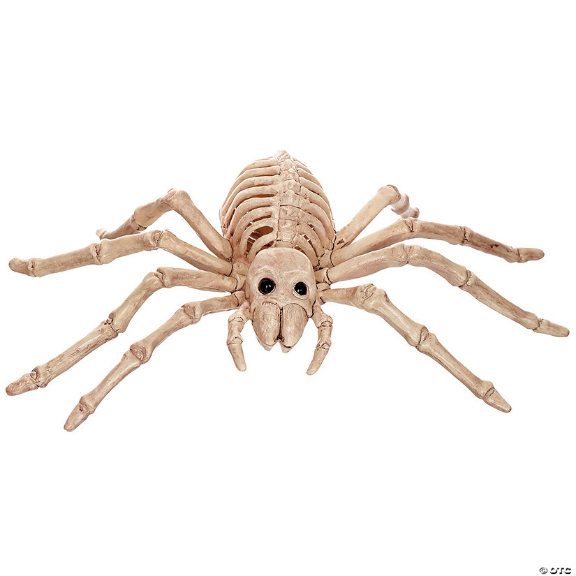 Skeleton Spider Decoration Image