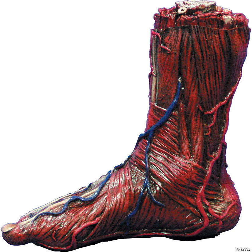 Skinned Right Foot Image