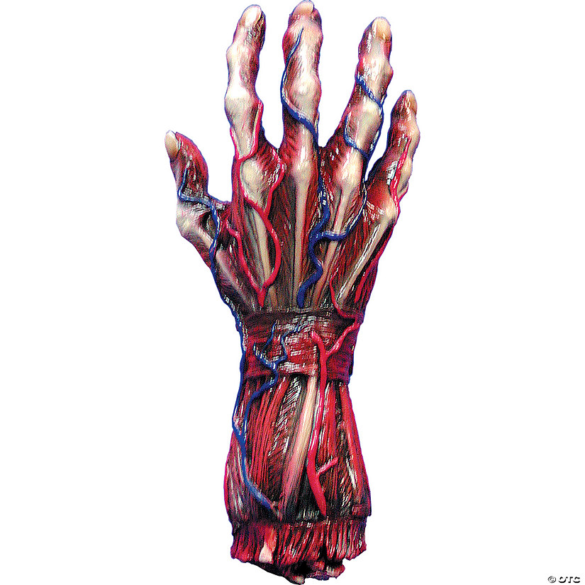 Skinned Right Hand Image
