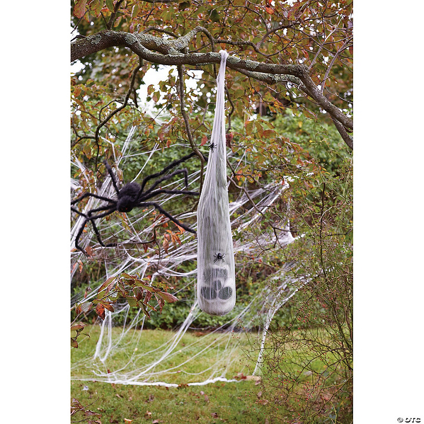 Skull in Spider Cocoon Image