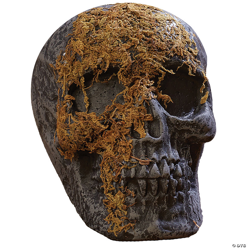 Skull Moss Covered With Jaw Image
