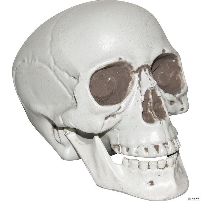 Skull with Moveable Jaw Halloween Decoration Image