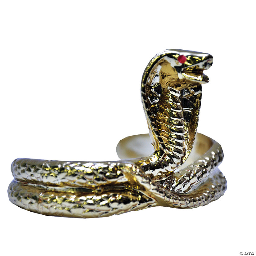 Snake Armband Image