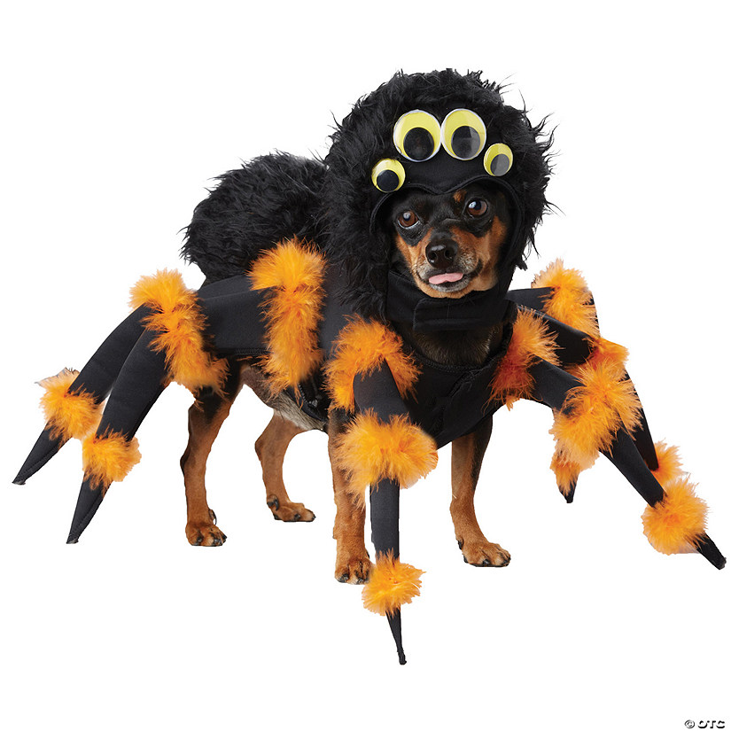 Spider Pup Dog Costume Image
