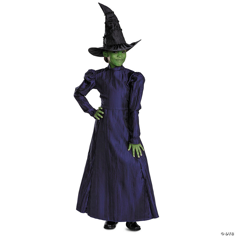 Toddler Deluxe Wicked&amp;#8482; Elphaba Purple Dress Costume - 3T-4T Image