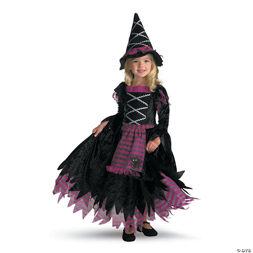 Toddler Girl&#8217;s Fairy Tale Witch Gown Costume - 2T Image