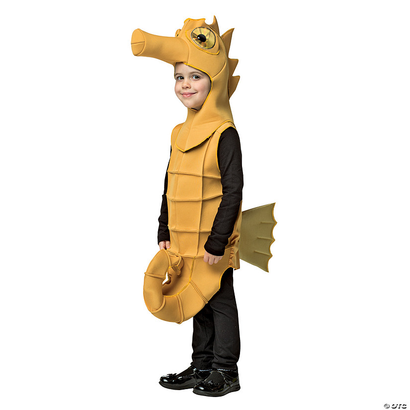 Toddler Seahorse Costume Image