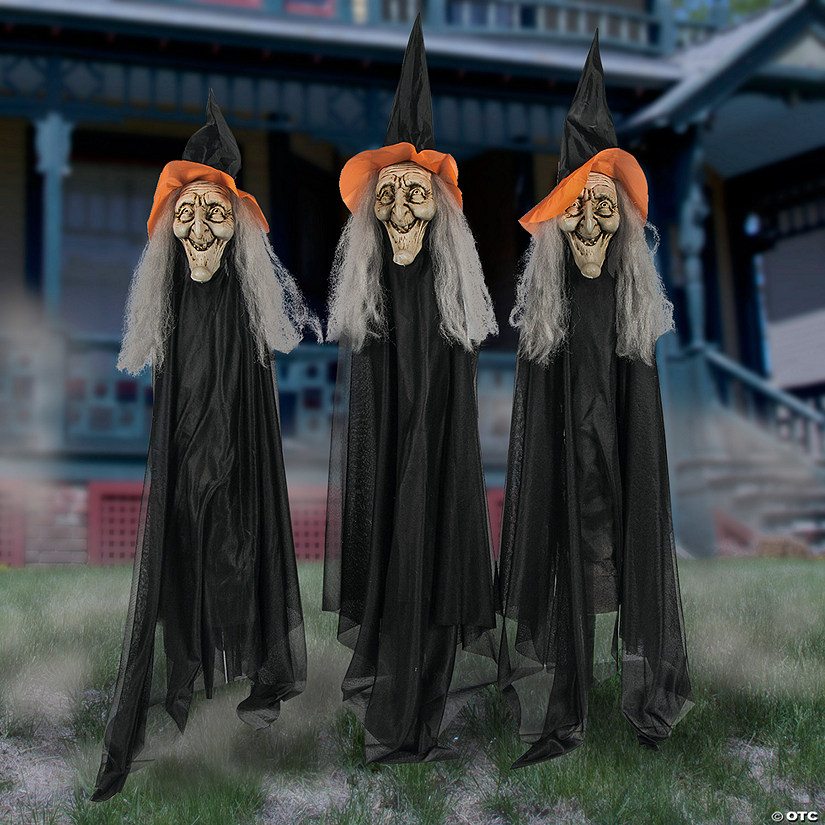 Value Witch Yard Stake Decorations Image