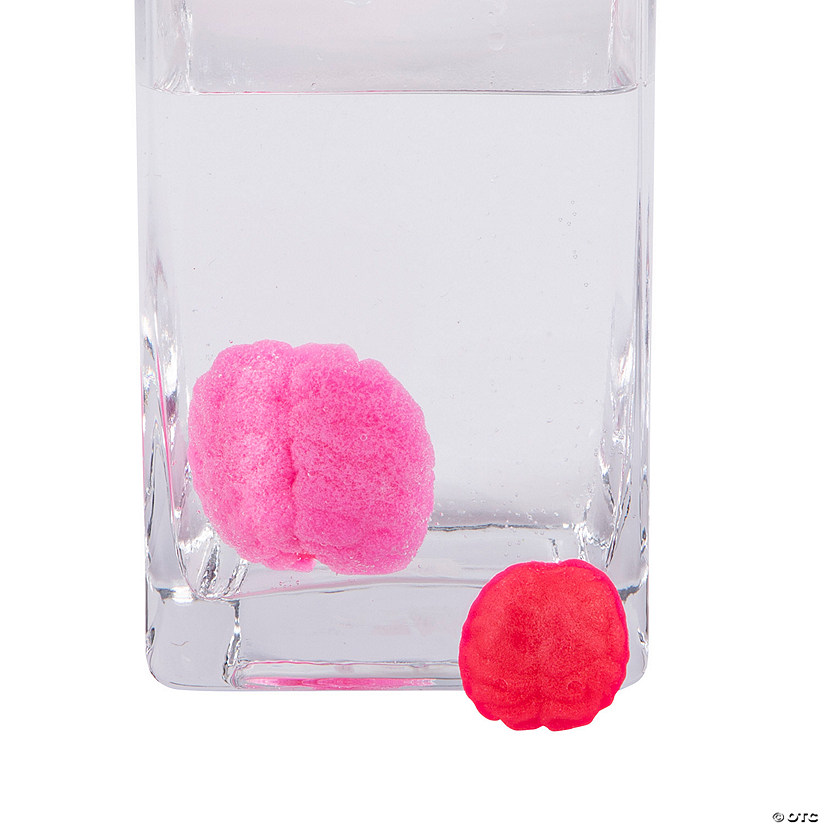Watch it Grow Brains Water Toy - 36 Pc. Image