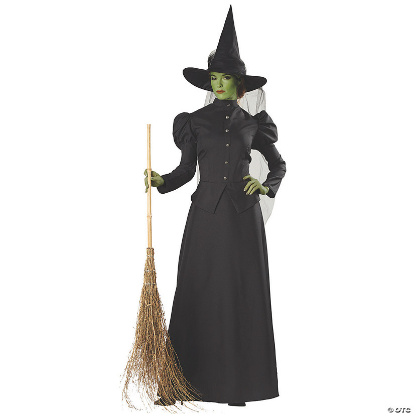 Women&#8217;s Deluxe Classic Witch Costume - Medium Image
