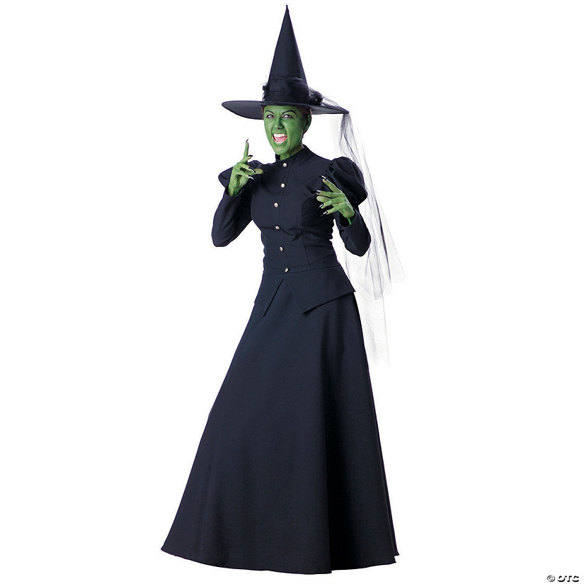 Women's Deluxe Wicked Witch Costume - Small Image