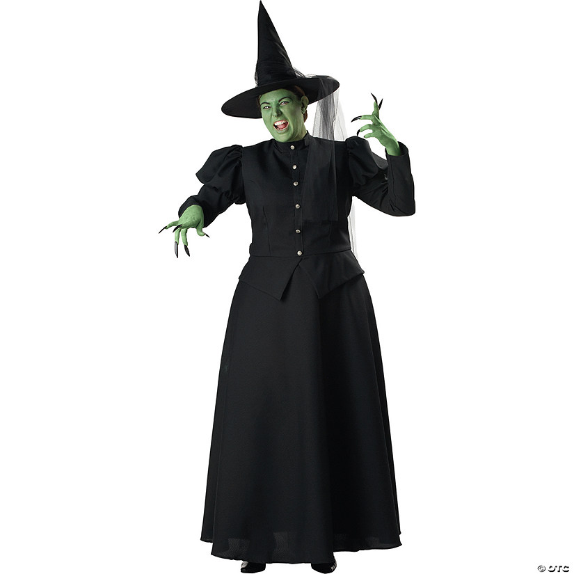Women's Plus Size Witch Costume Image
