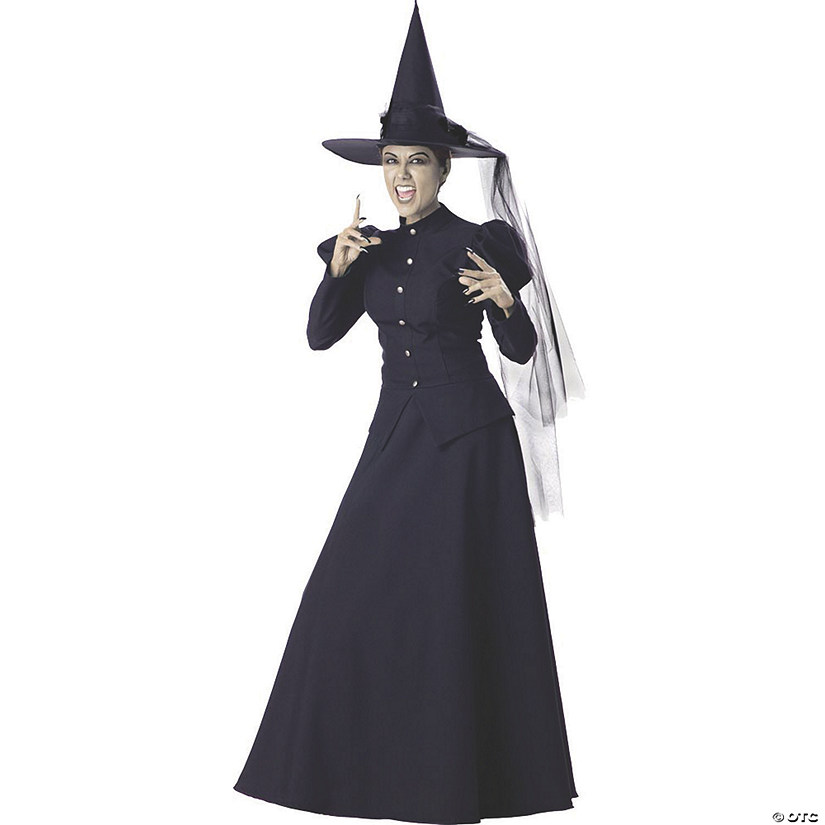 Women's Wicked Witch Deluxe Costume - Extra Large Image