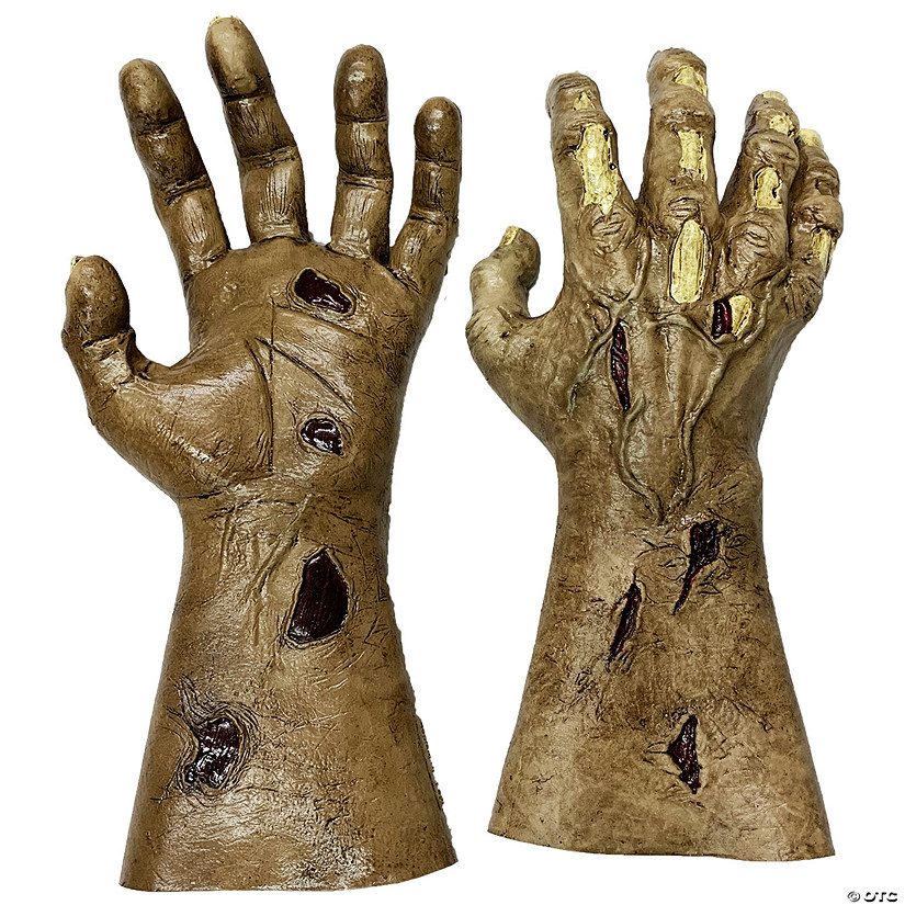 Zombie Hands Image