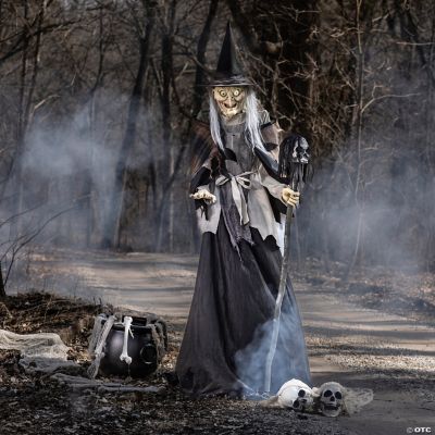 Animated Lunging Haggard Witch | Halloween Express