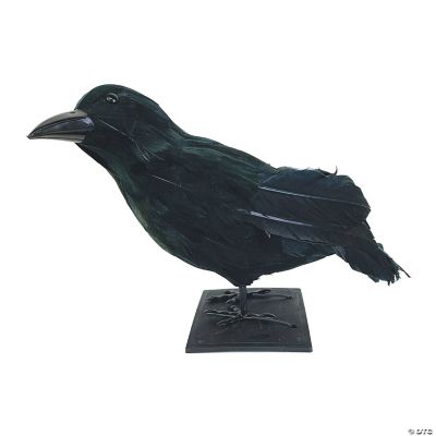 Black Raven Prop Halloween Decoration | Halloween Express
