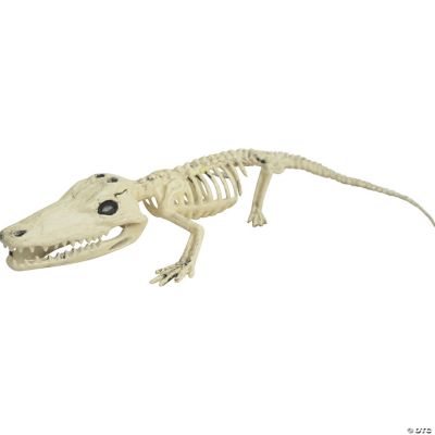 Alligator Skeleton Halloween Decoration Discontinued